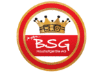 logo bsg haushaltgerate
